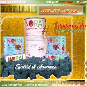 NOrat 0,005 BB